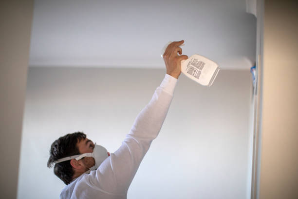 Best DIY Mold Remediation Support Services in Steger, IL