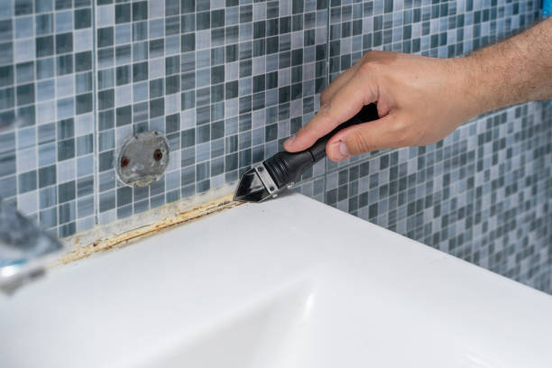 Best Post-Remediation Services in Steger, IL
