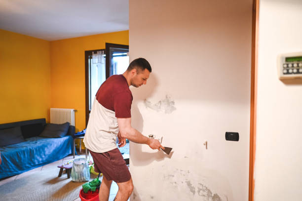 Best Industrial Mold Remediation in Steger, IL